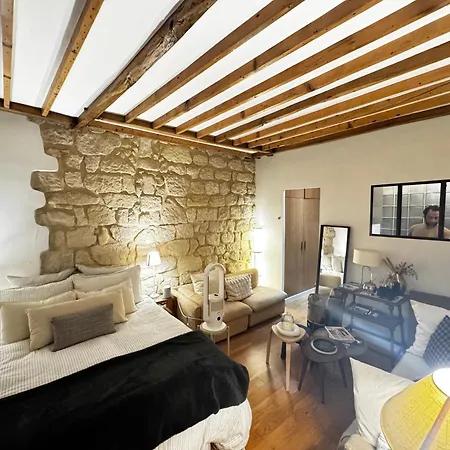 Apartment Beautiful In Paris